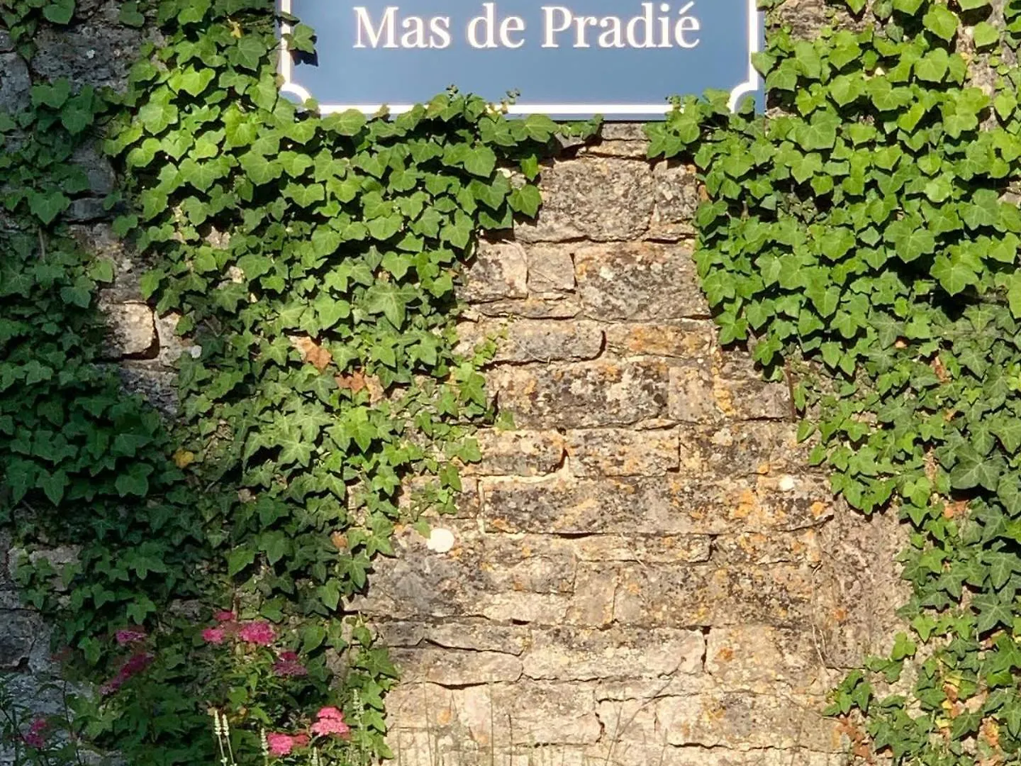 Hébergement de vacances The Guardians Cottage, Chateau Mas De Pradie Foissac